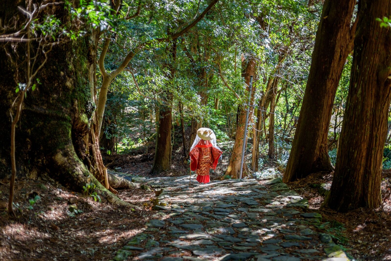 woman in Wakayama Prefecture