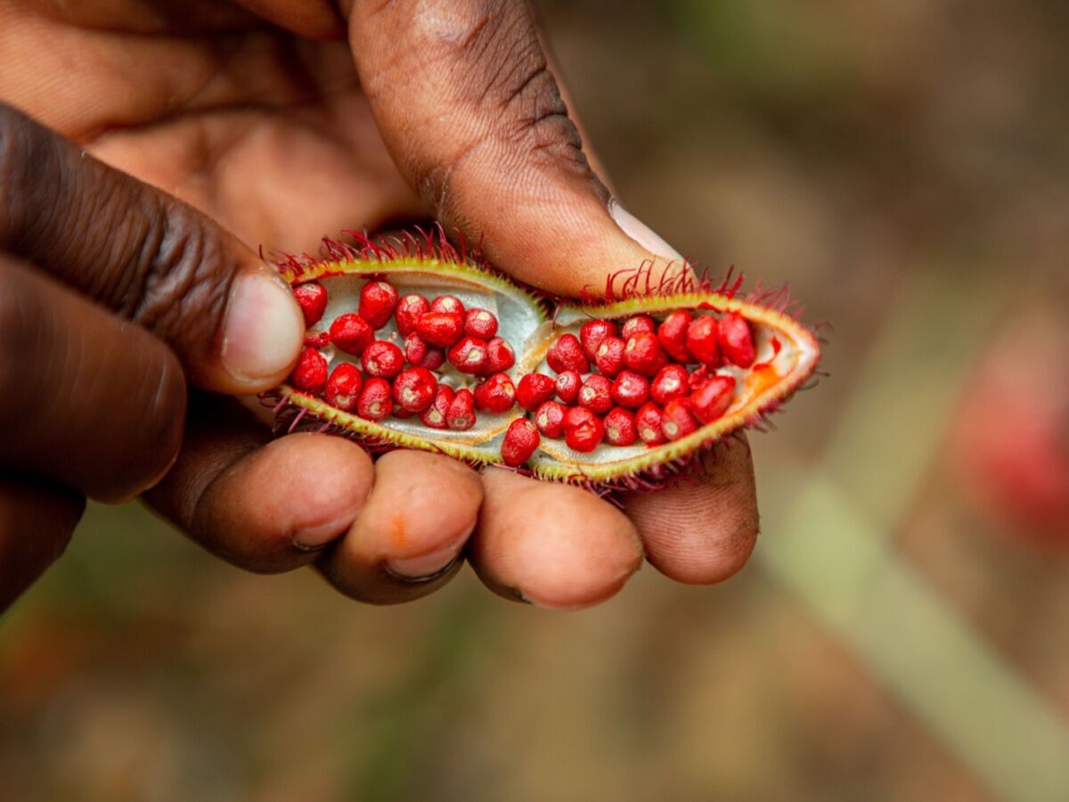 This Tropical Island Has Some of the Most Unique Food in Africa