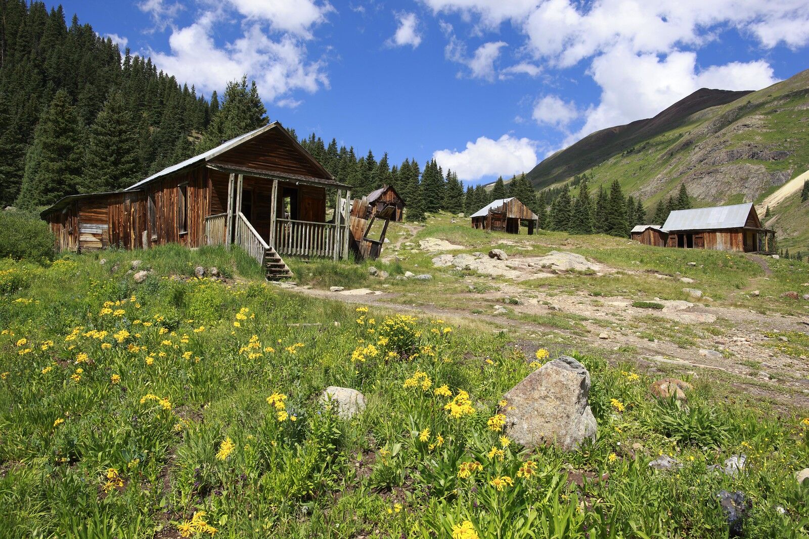 where to camp in colorado - animas forks 