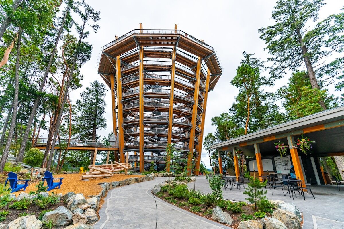 The Malahat Skywalk Showcases the Unparalleled Beauty of Vancouver Island