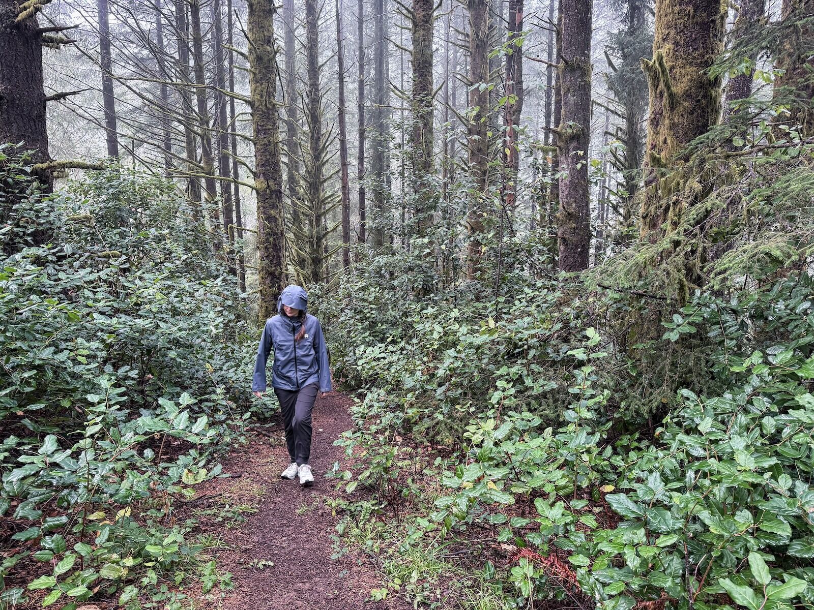 woman hiking in rain forest with mountain hardwear premonition jacket