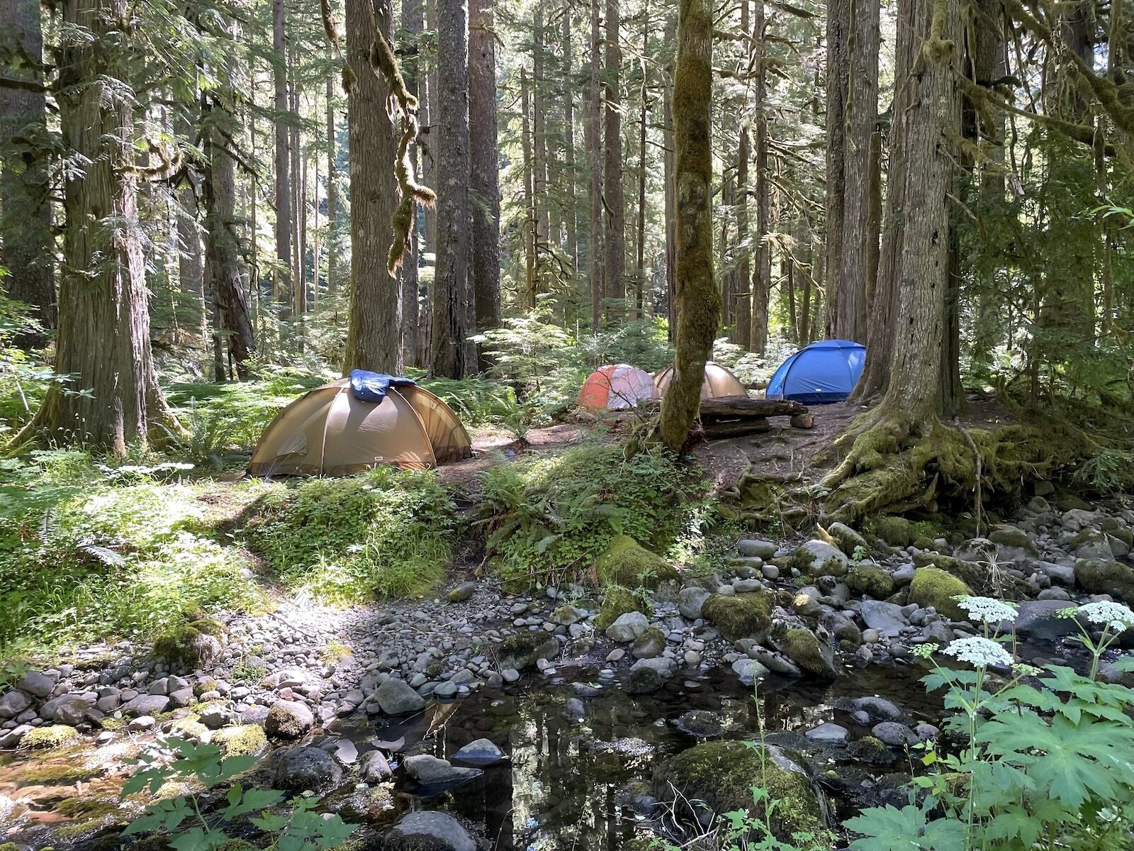 60 Of The Best Camping Sites In The US With Amazing Views