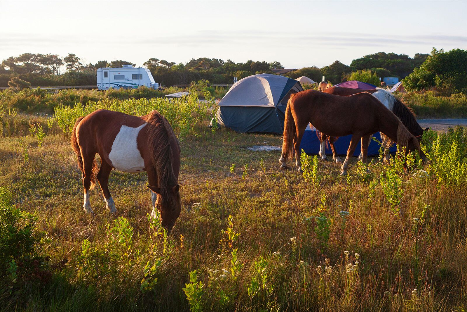 east coast camp sites