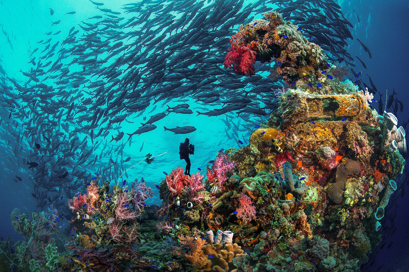 best places in the world to scuba dive