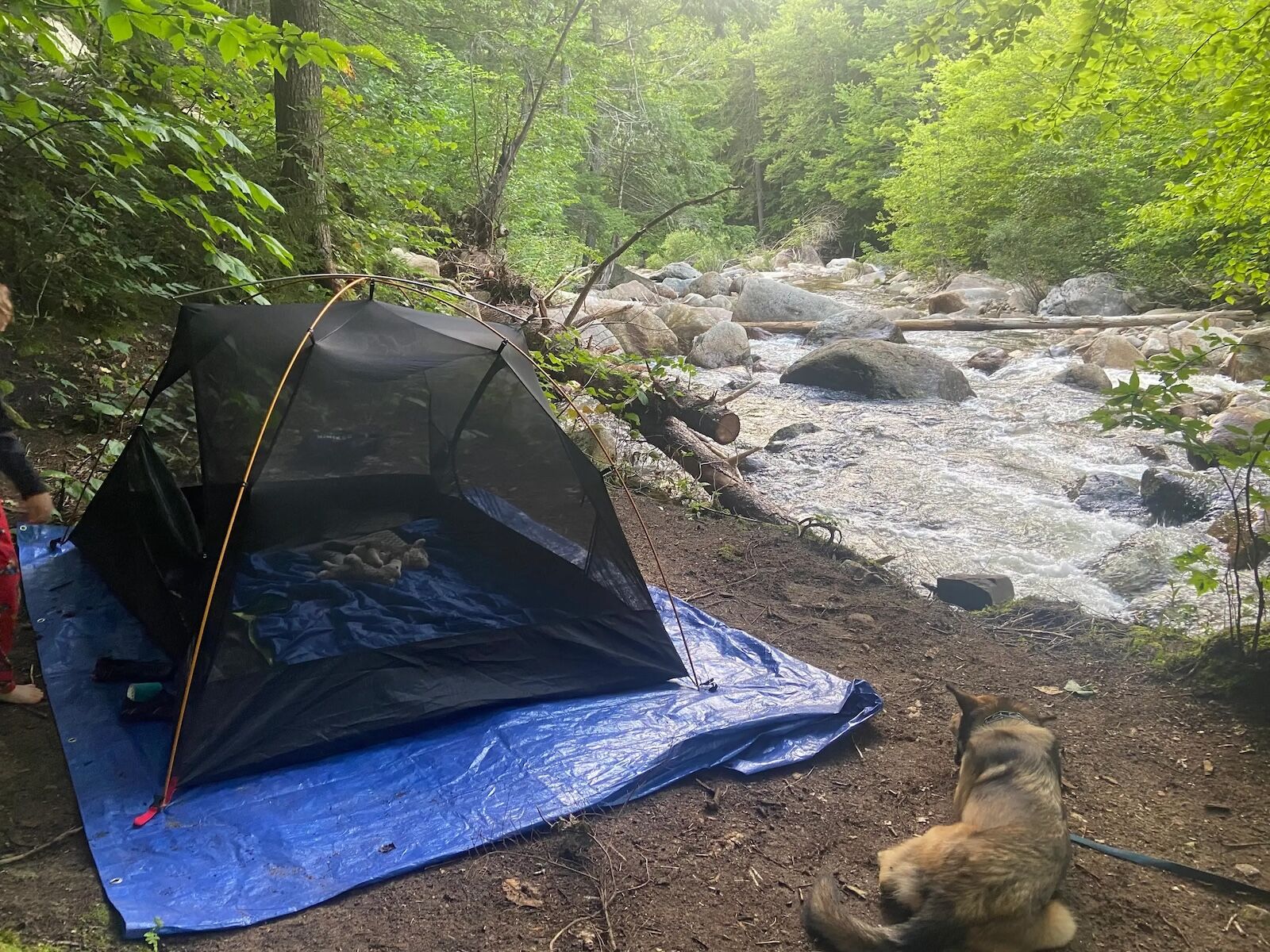 best east coast camping - town hall road 