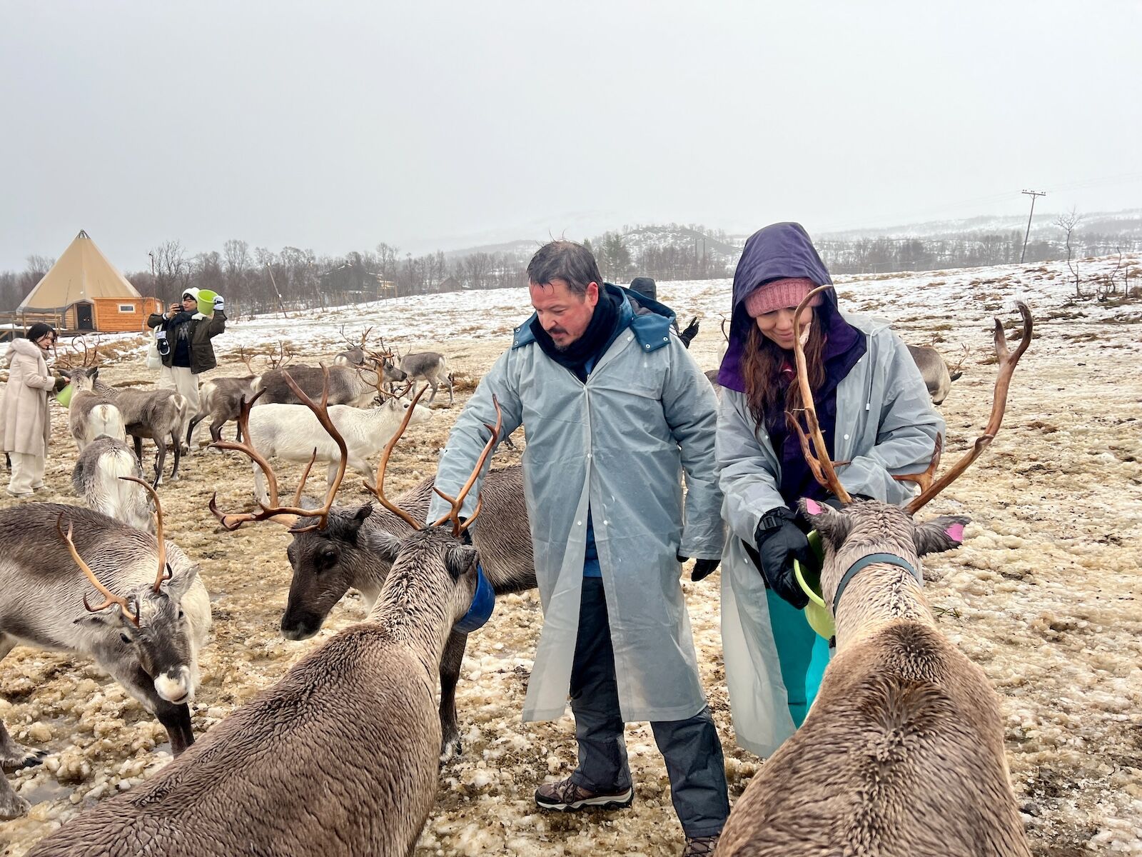 Sami reindeer herders -author with reindeer