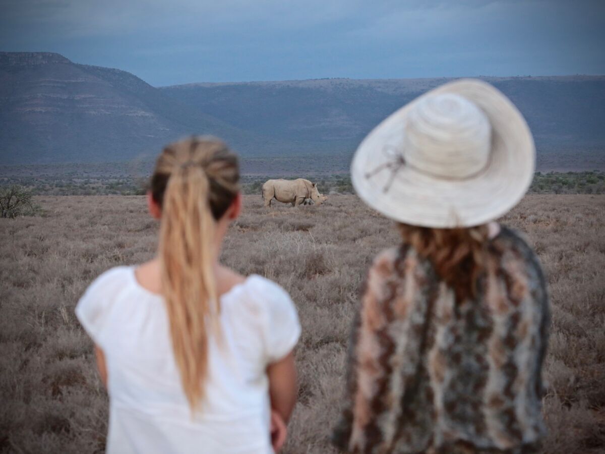 South Africa’s New Cheetah Trail Is Chance to See the ‘Big 5’ on Foot