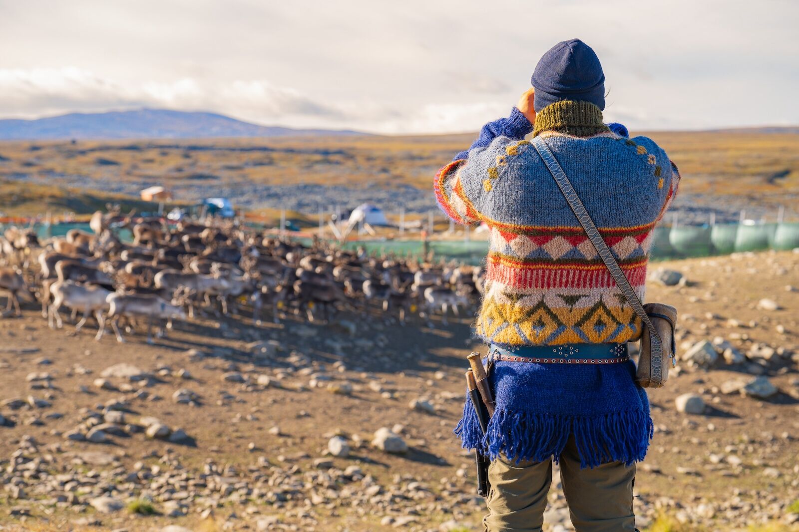 sami reindeer herders - watching the herd in summer