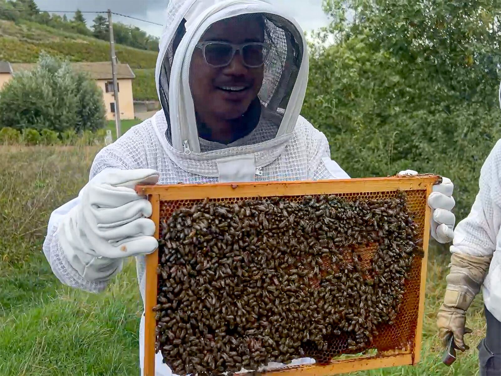 Vallée de la Gastronomie - bees and honey