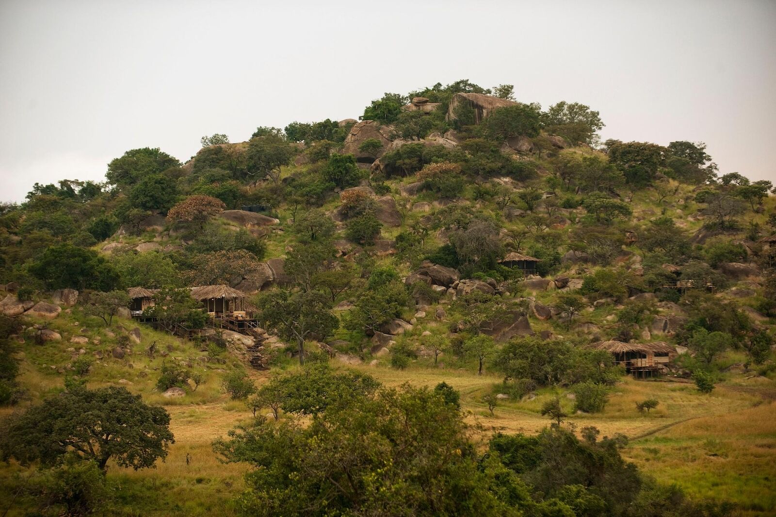 Tanzania road trip -lamai camp on north part of park