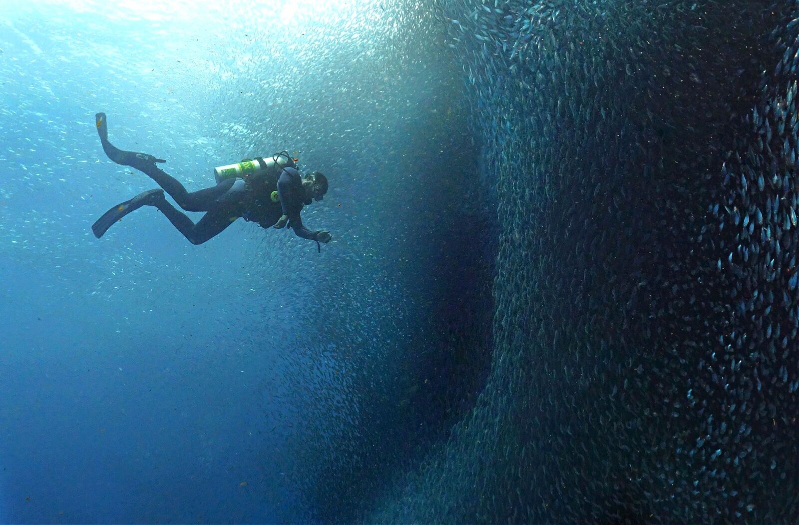 scuba trip planning - sardine run