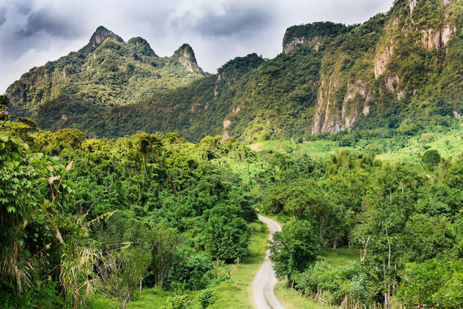 forest and mountains on viti levu, fiji