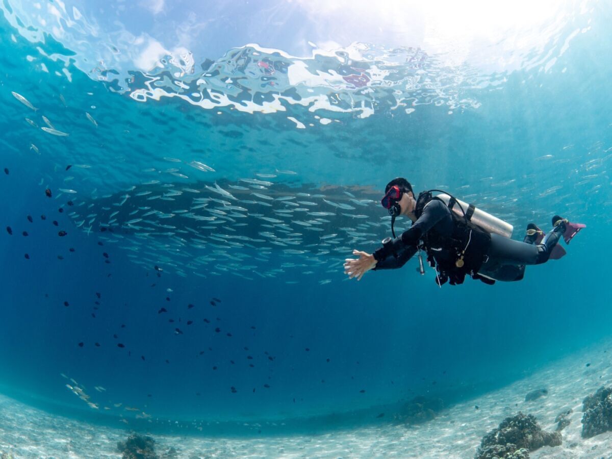 Expert Approved: How to Pick Your Next Scuba Dive Vacation Destination