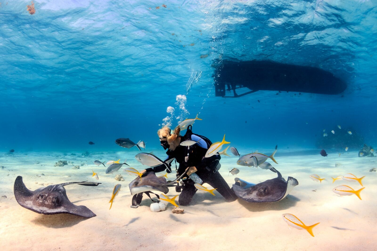 scuba trip planning - diver with rays