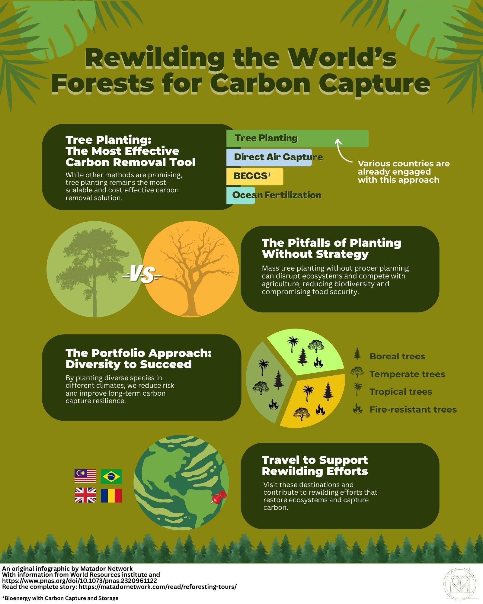 iinfographic about reforesting efforts
