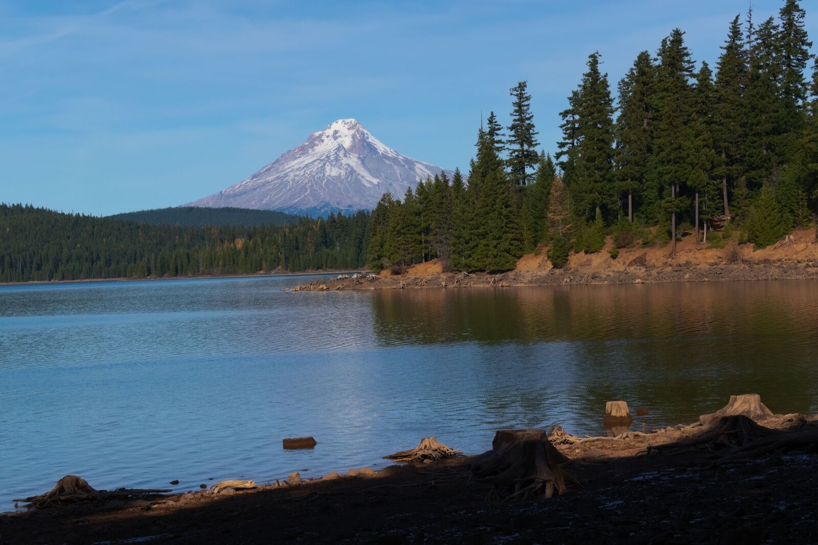Sasquatch sightings bigfoot campgrounds - mount hood 