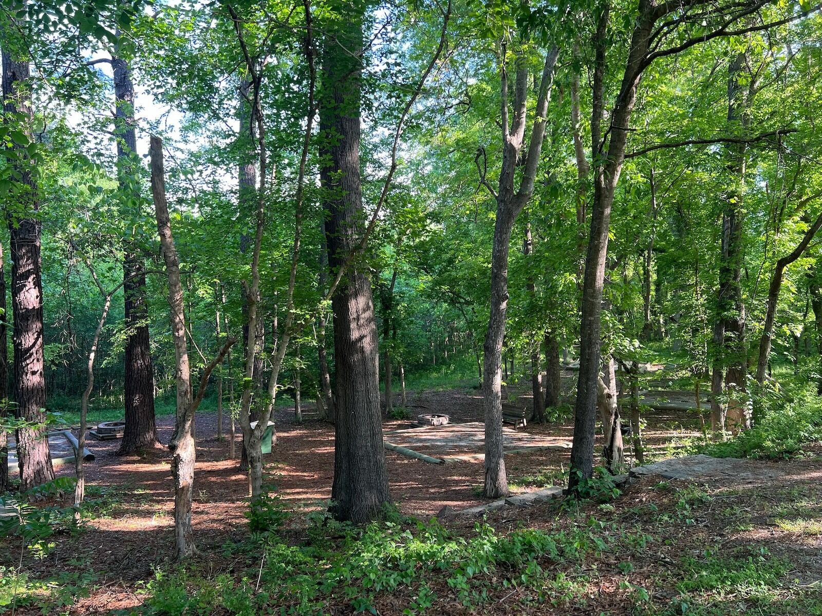 sasquatch sightings - SC campground