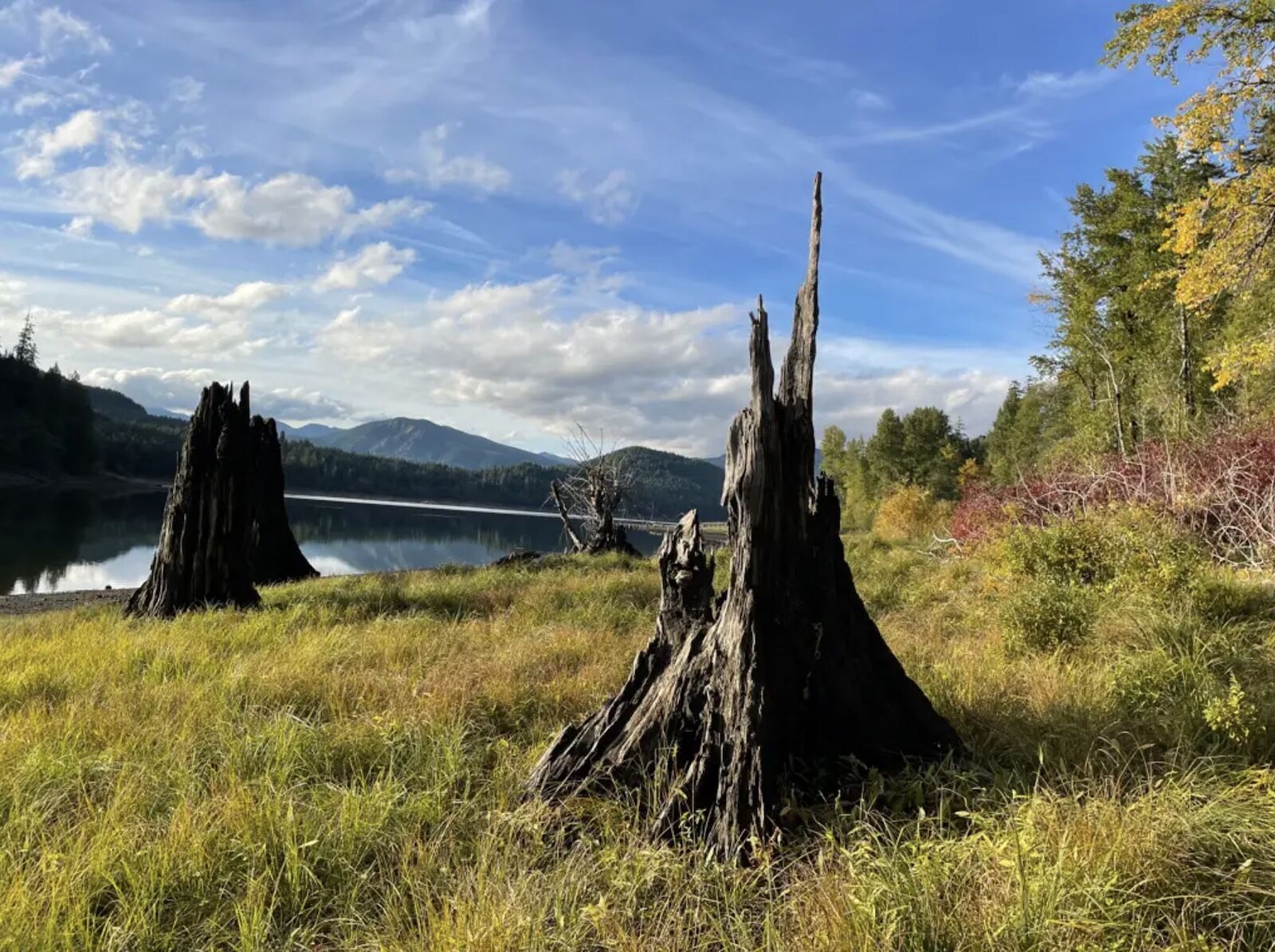 Sasquatch sightings at bigfoot campgrounds - merrill lake WA