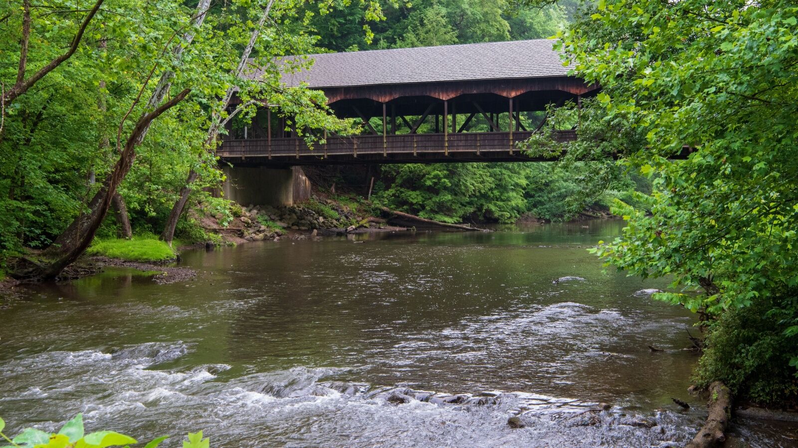 Sasquatch sightings at bigfoot campgrounds - ohio