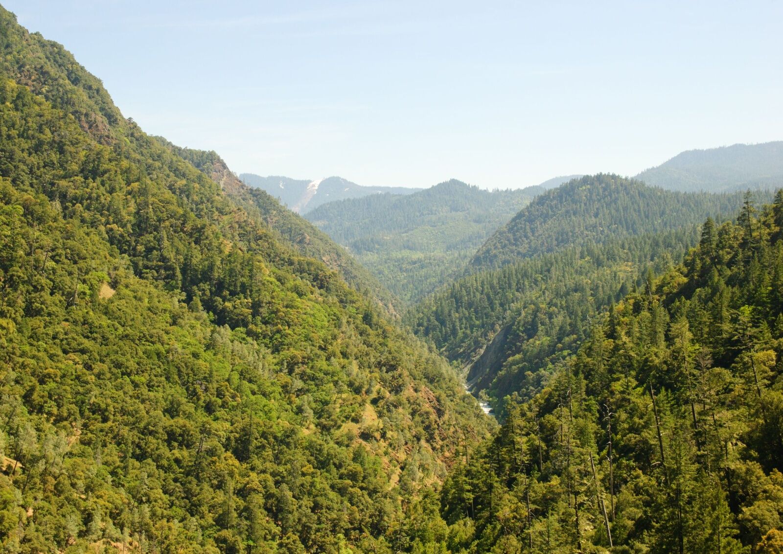 six rivers nationa forest view