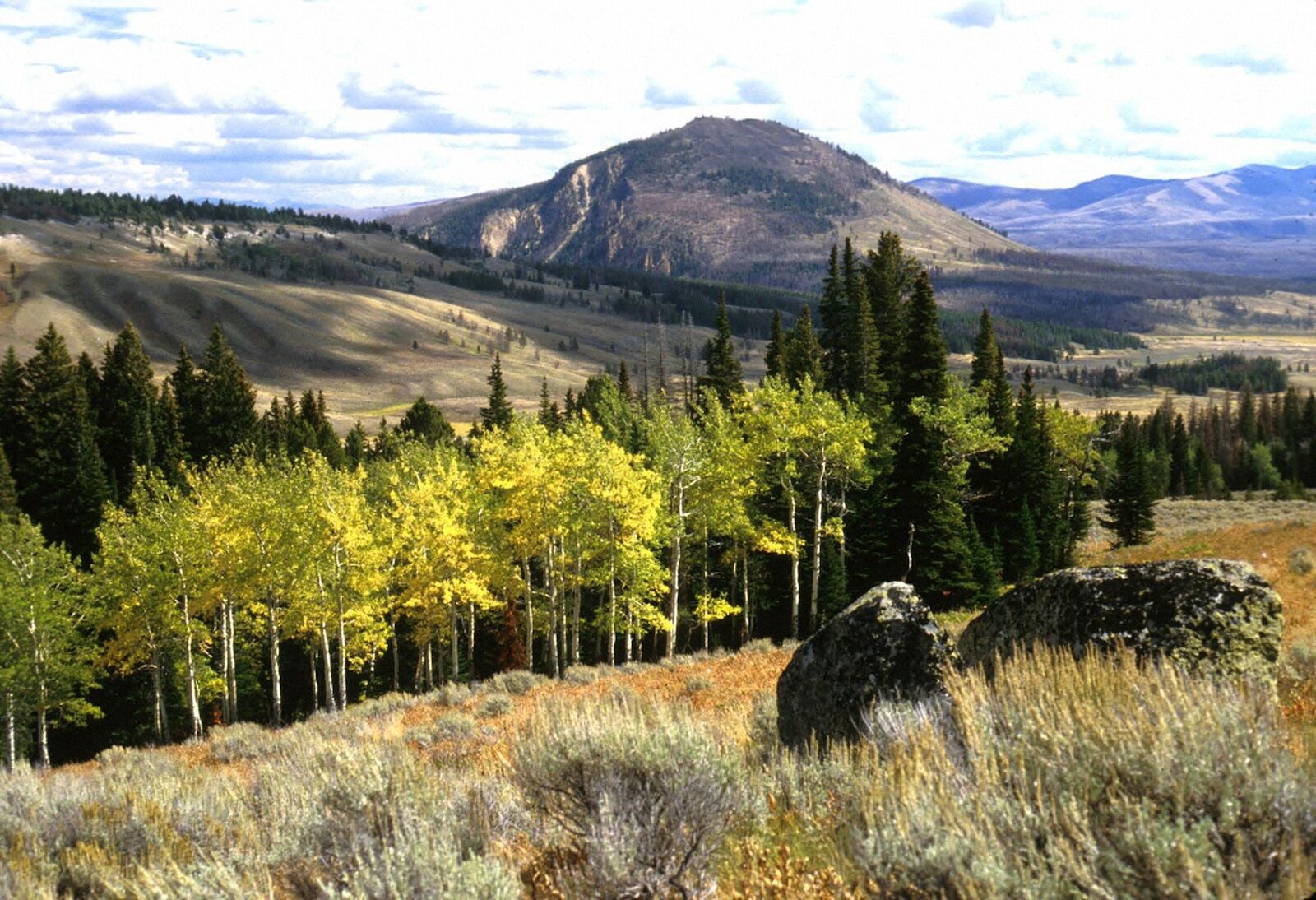 yellowstone national park - bigfoot campgrounds 