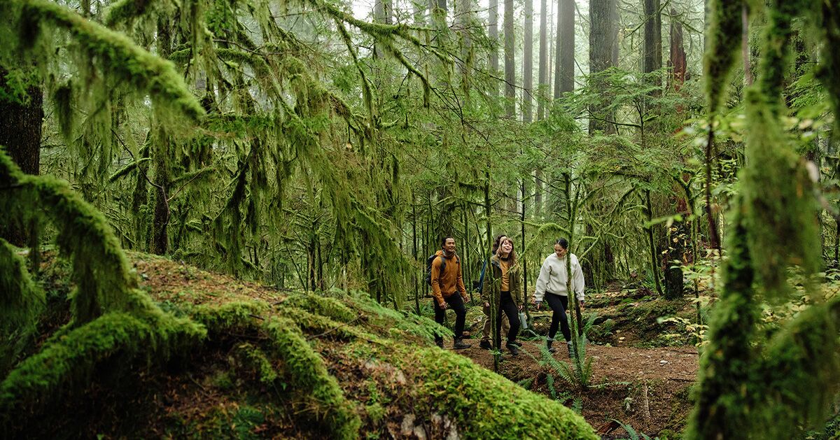 Rainforest to Rockies in British Columbia Is Your Gateway to Ever-Changing Landscapes