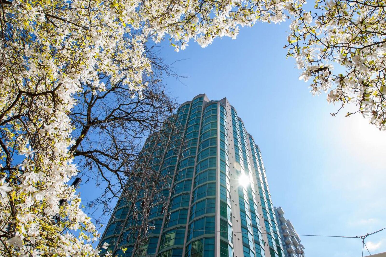 Hotels Near Vancouver's BC Place Vancouver