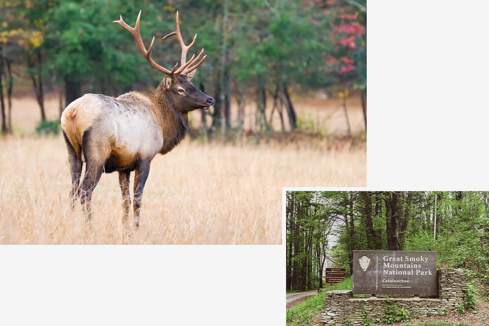 things to do in haywood county