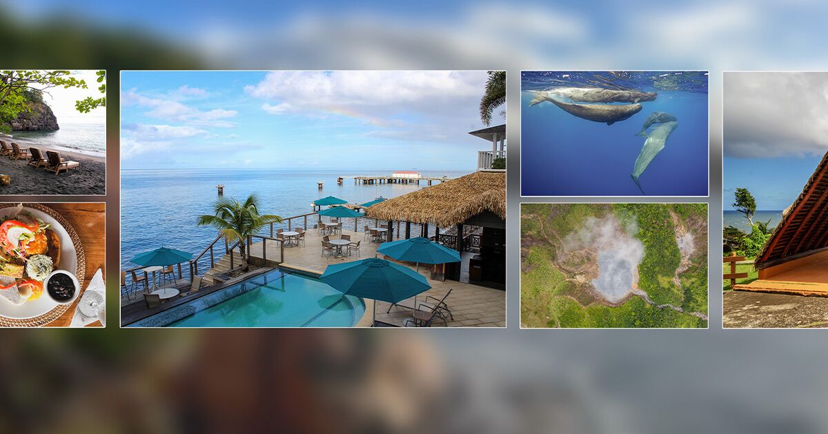 Where to Play, Eat, and Stay on Dominica, the Caribbean’s ‘Nature Island’