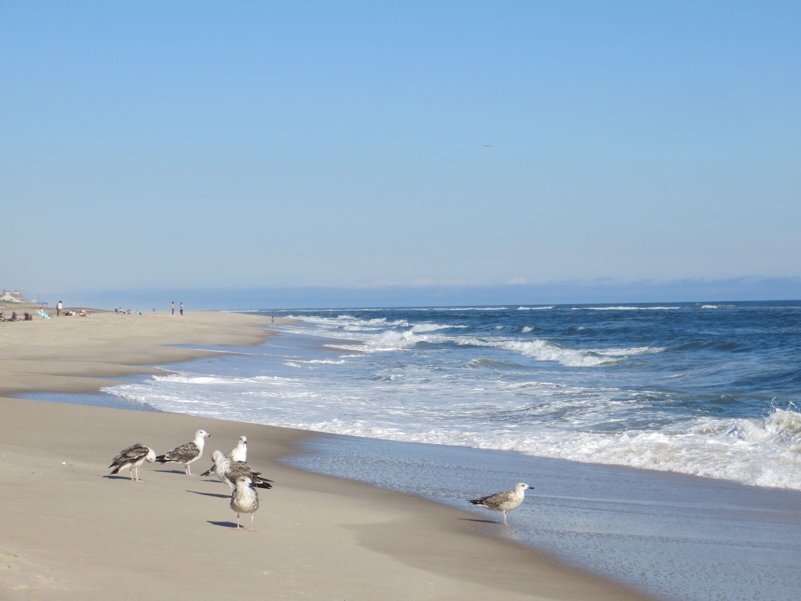 coopers landing ny best beach