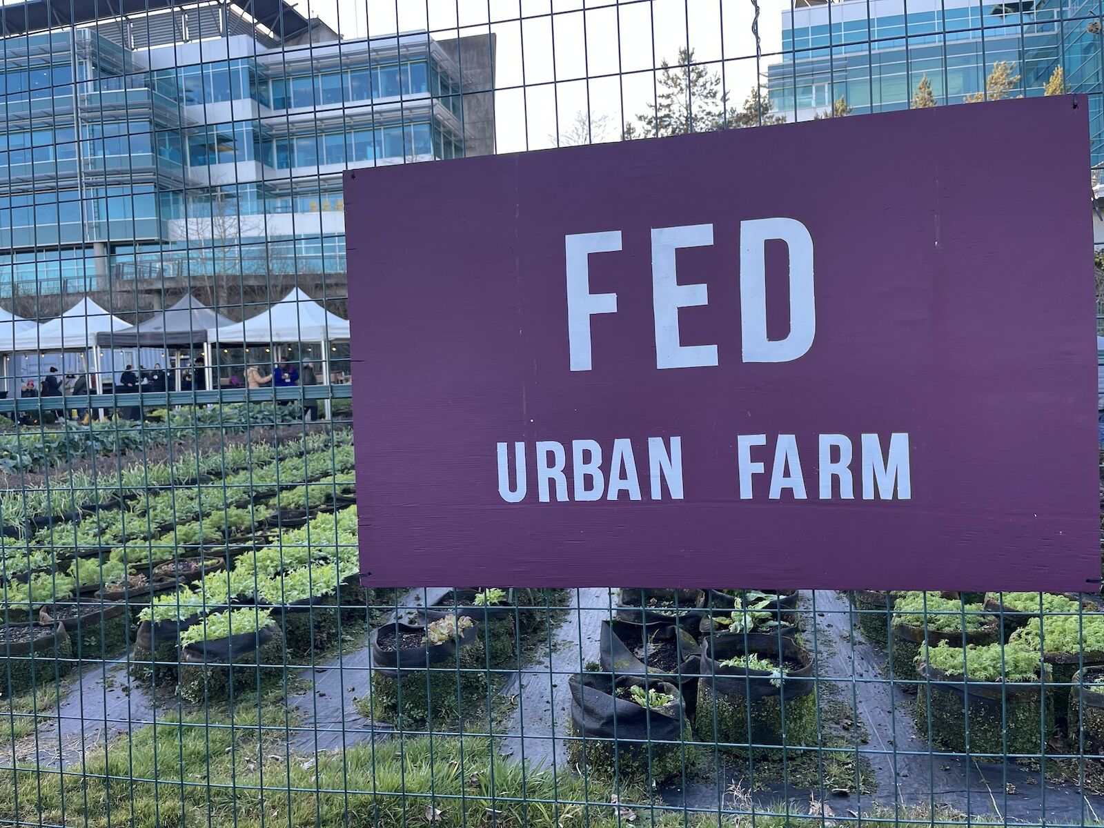sign depicting FED Urban Farm in front of farm