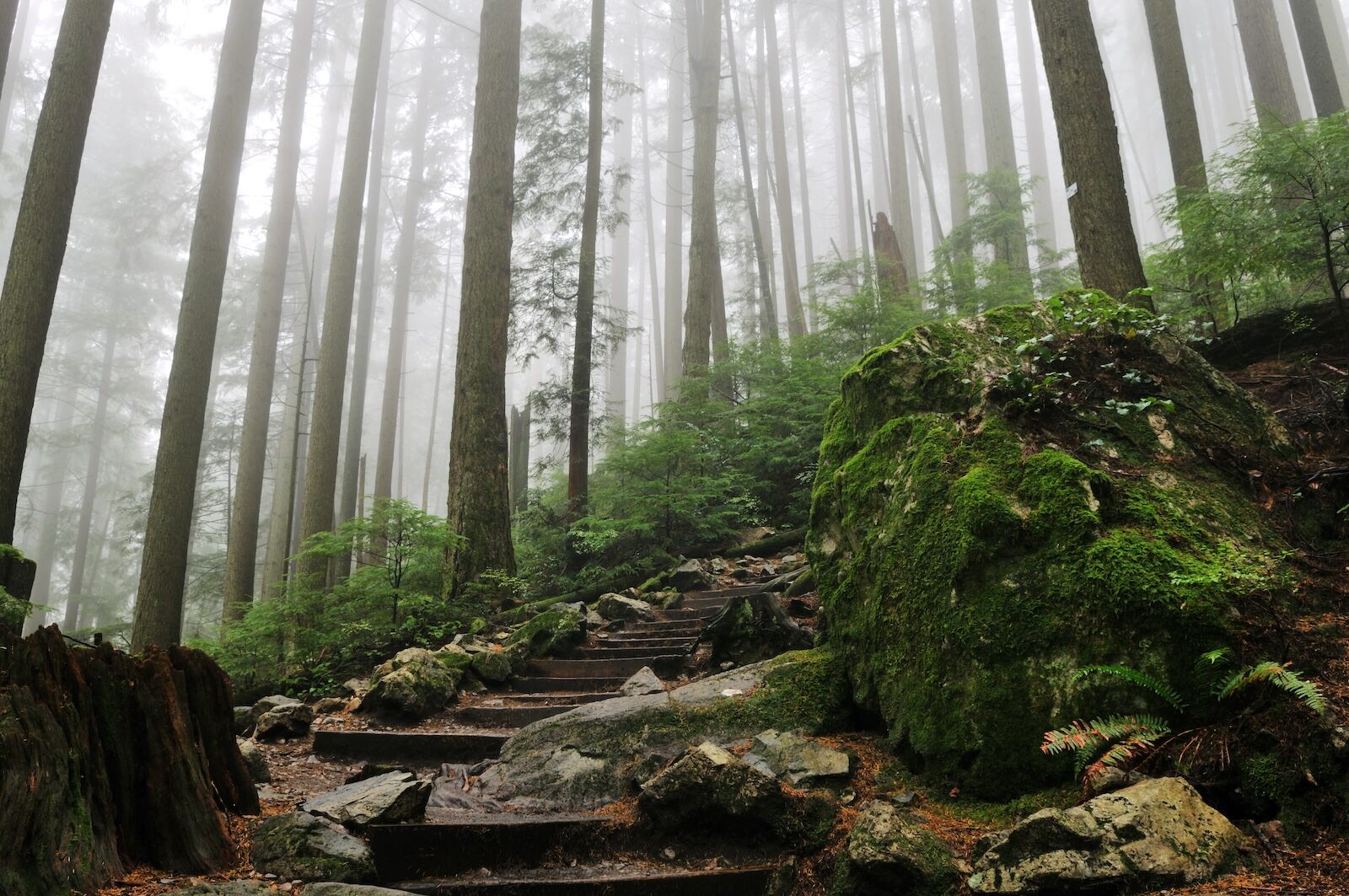 vancouver world cup activities - grouse grind