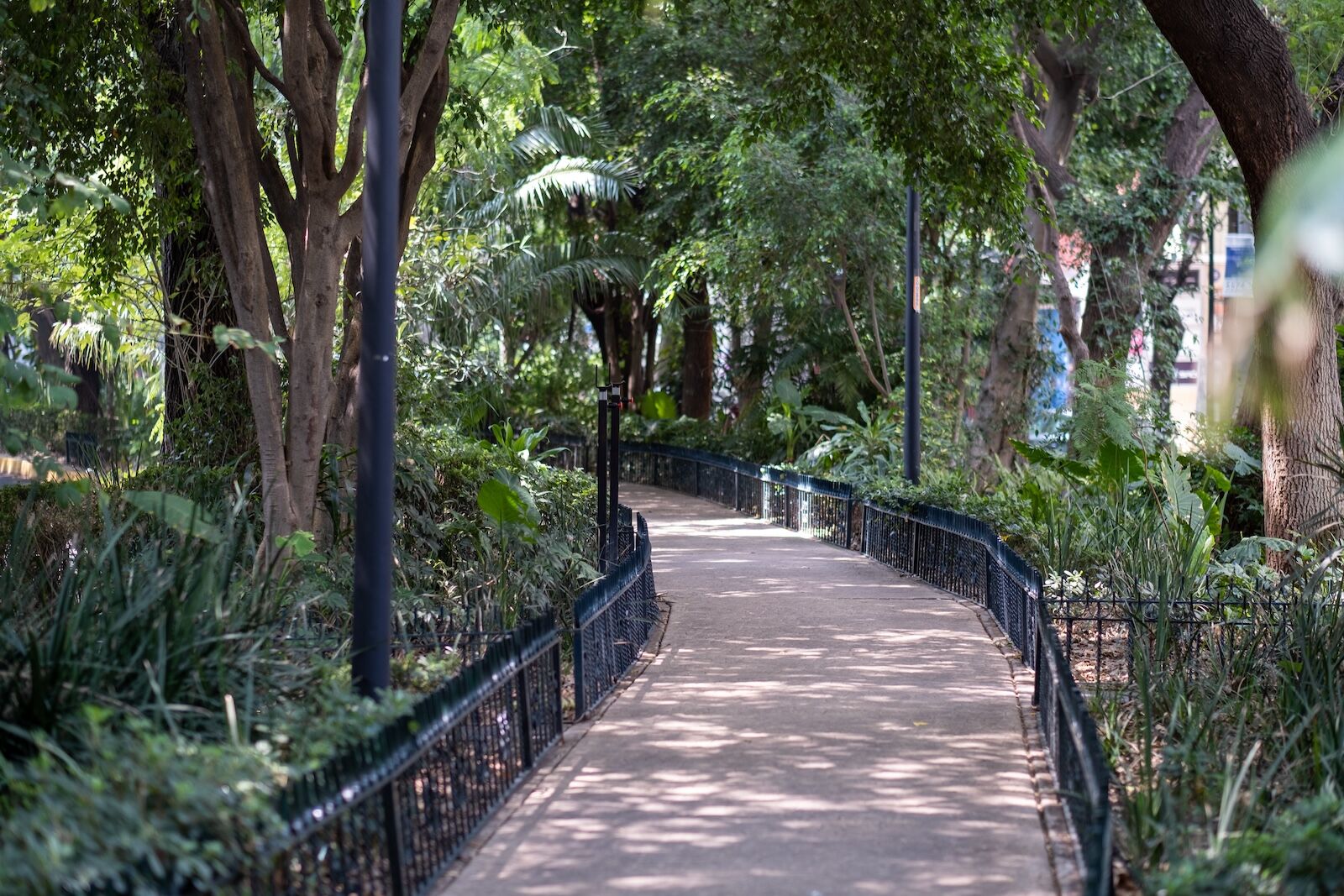 sidewalk through park in mexico city
