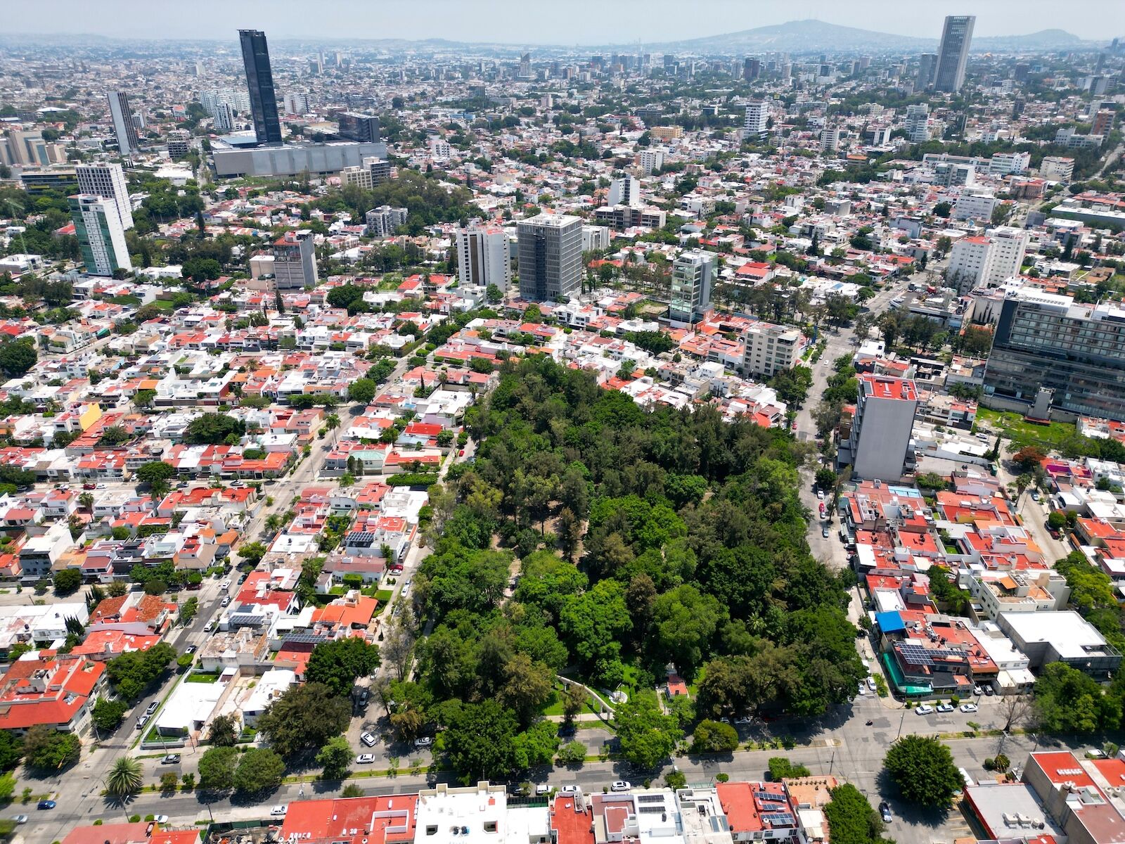 aerial overview of providencia, guadalajara