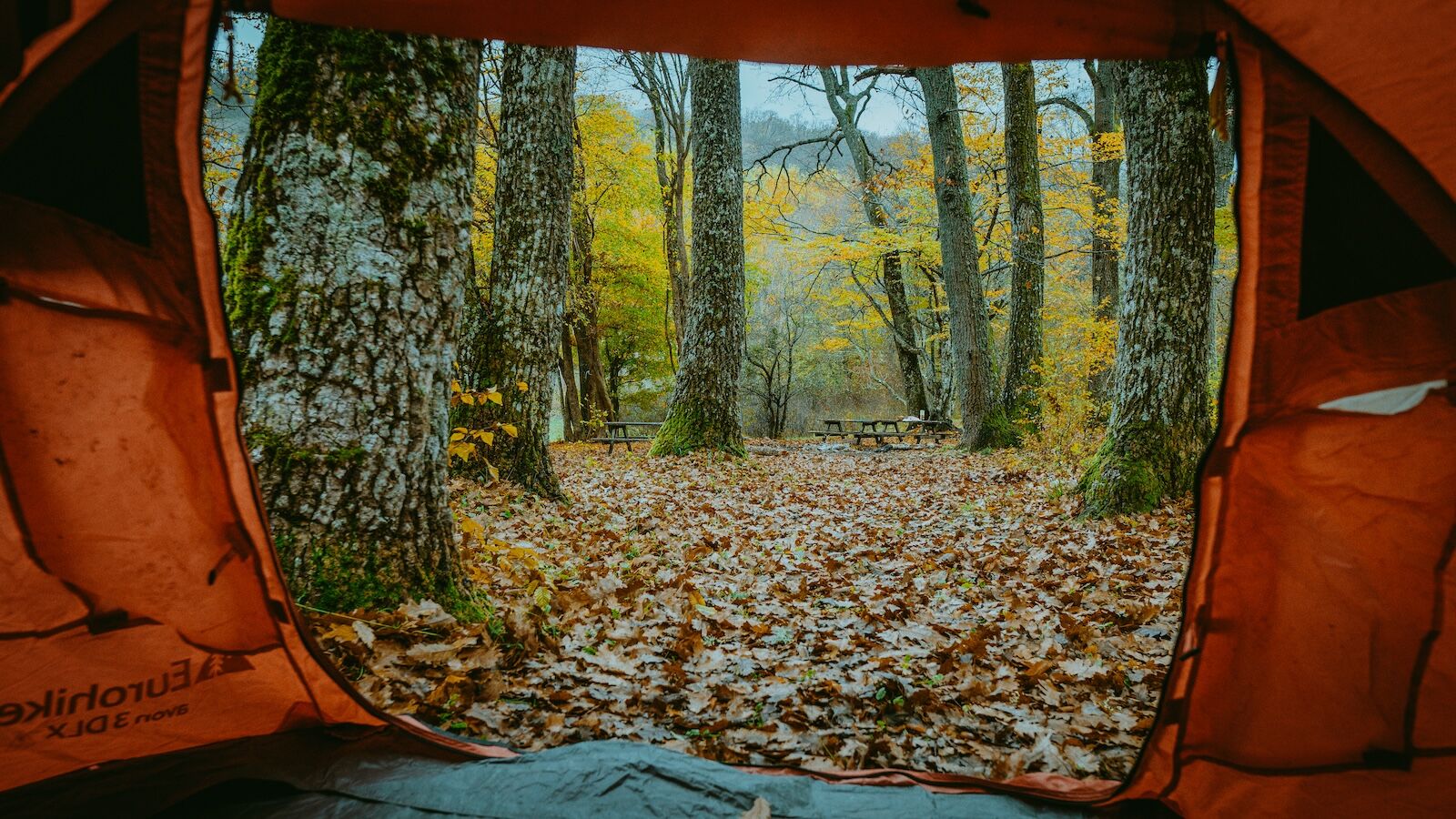 camping site viewed from tent