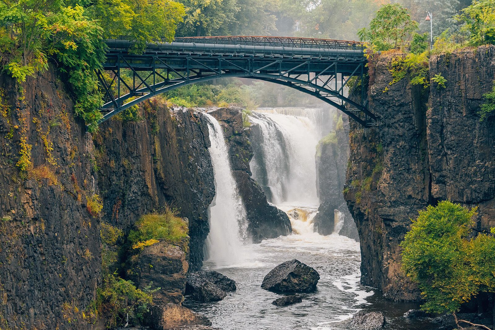New Jersey nature