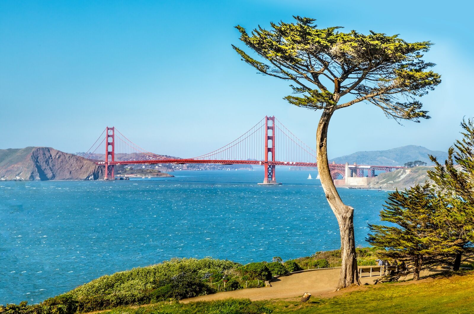 lands end trail san fran