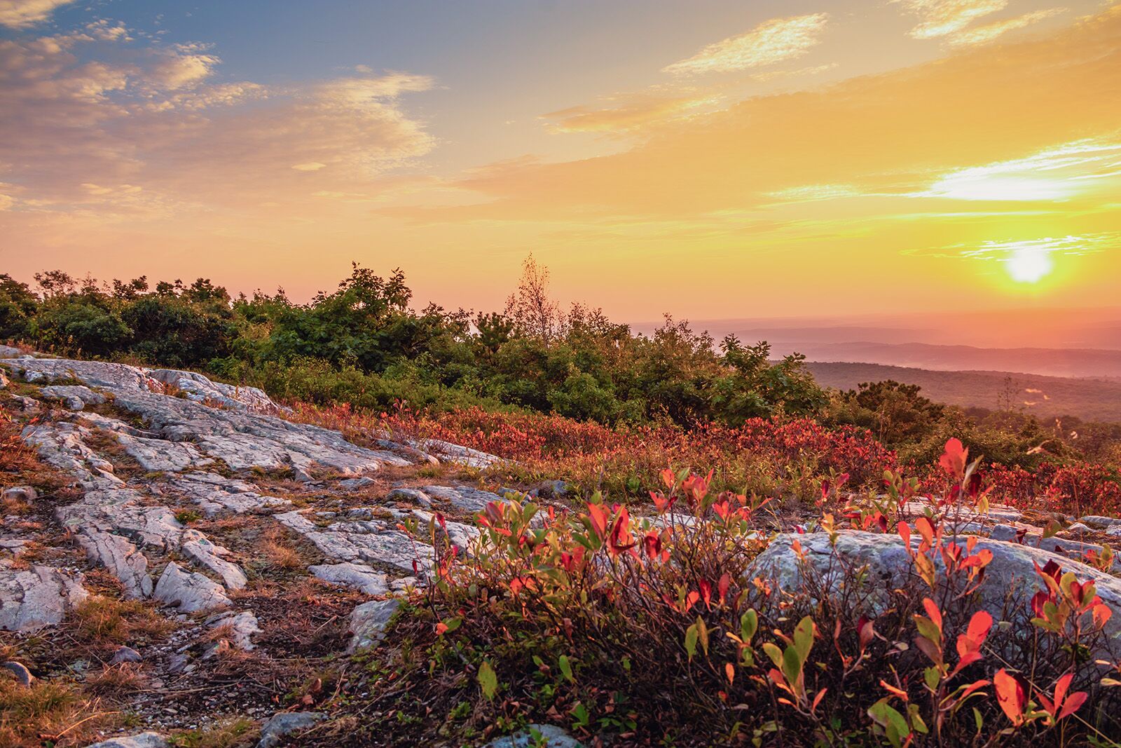 New Jersey nature