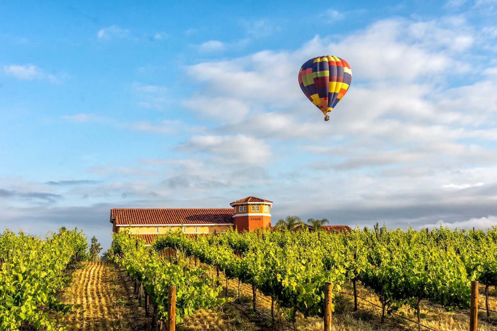 Hot air balloon in Temecula Wine Country Southern California