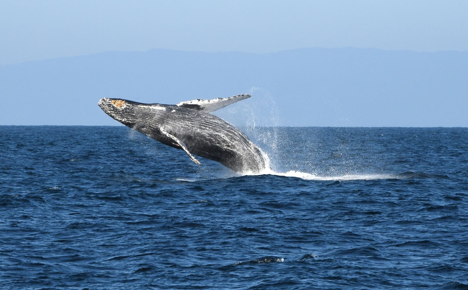 new marine sanctuaries - chumash
