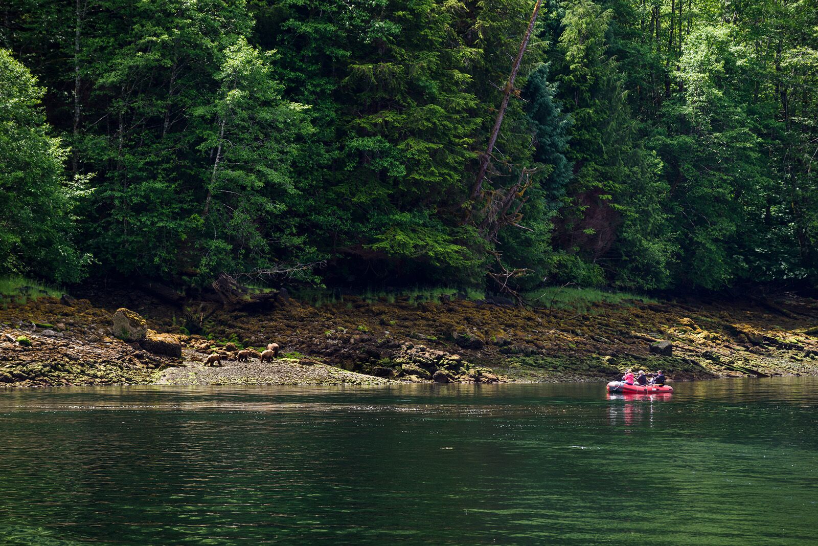 british columbia west coast