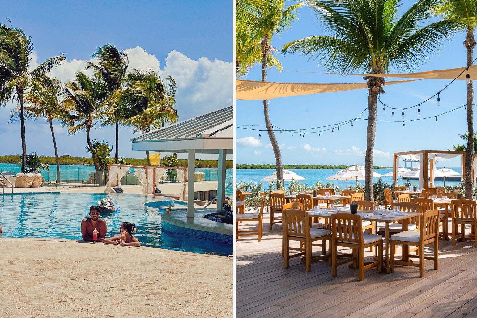 alexandra resort