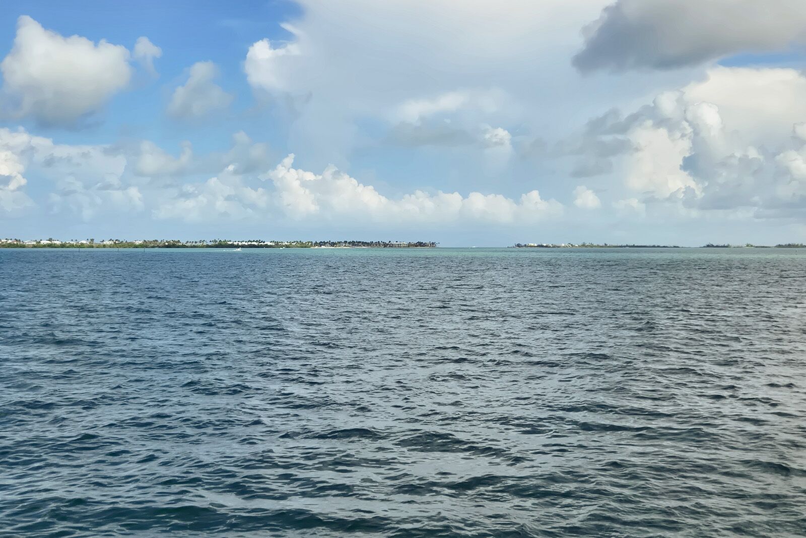 Captiva Cruises
