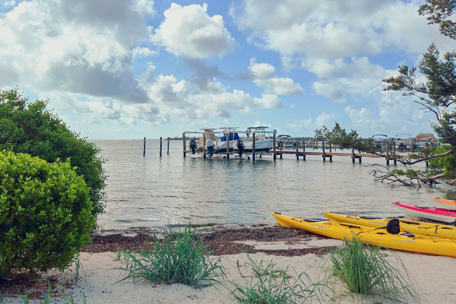 Captiva Cruises