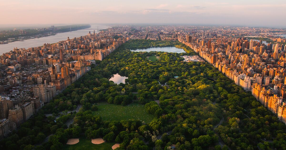 2026 World Cup Guide: New York/New Jersey