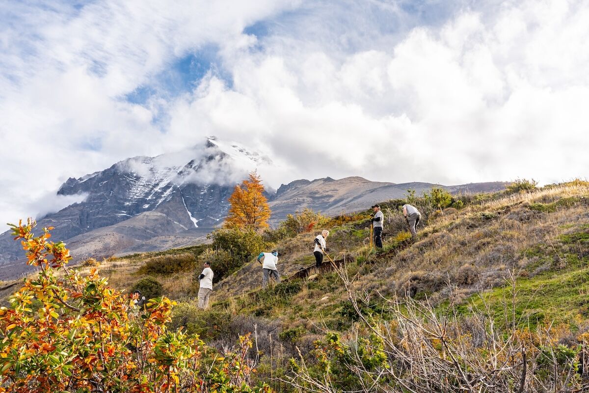 Voluntourism in Torres Del Paine: How These Travelers Helped Restore One of Chile’s Most Iconic Hikes