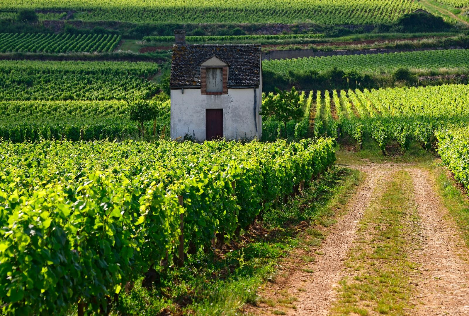 decanteur wine awards - burgundy, france