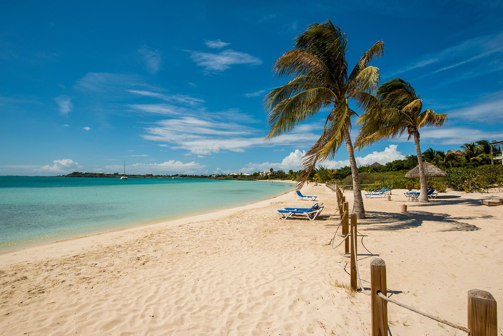 alexandra resort
