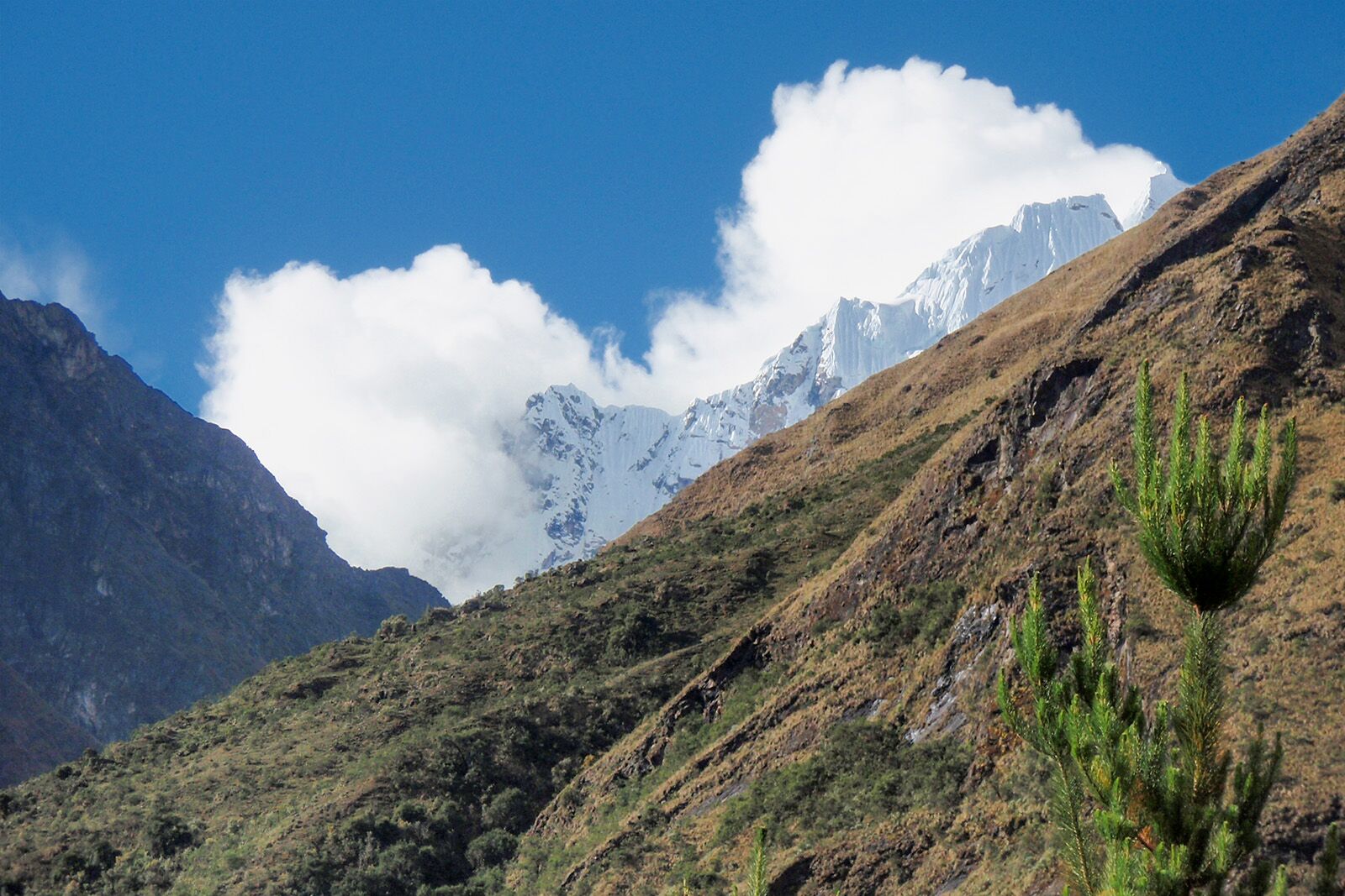 salkantay trek