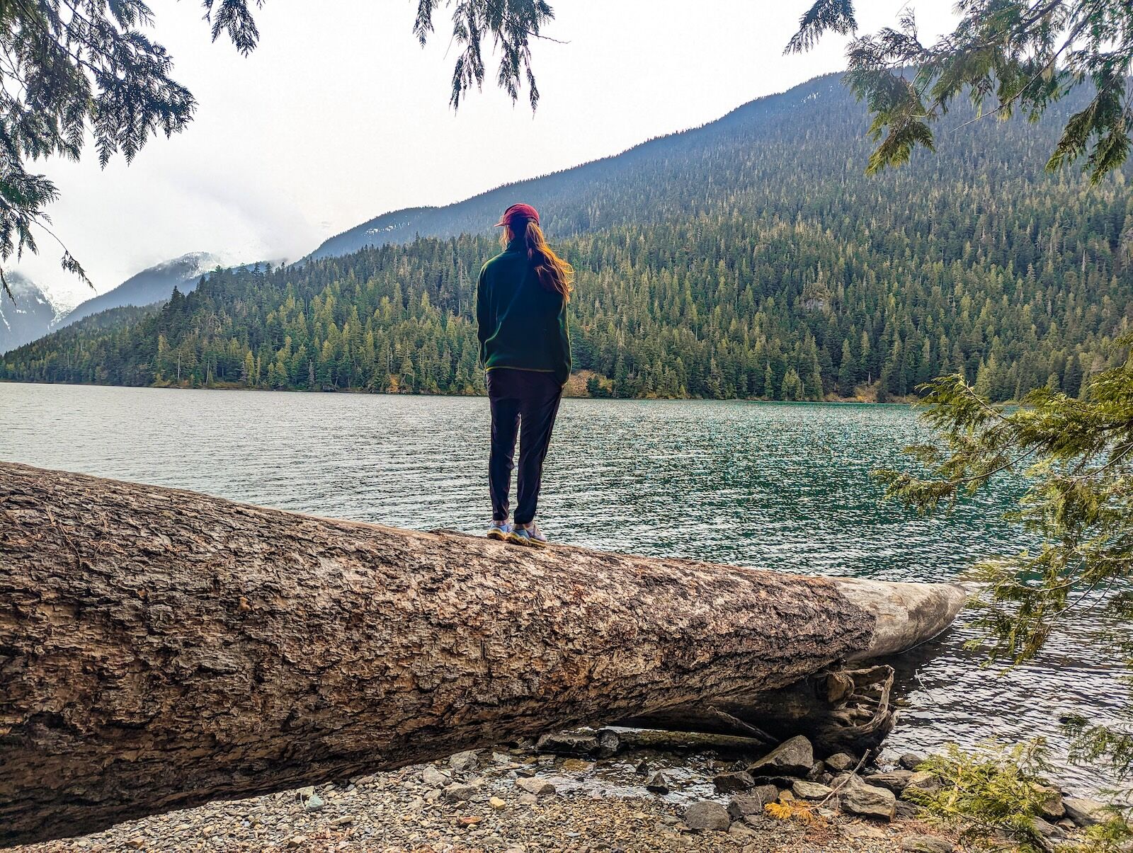 Cotopaxi envo fleece - on fallen tree